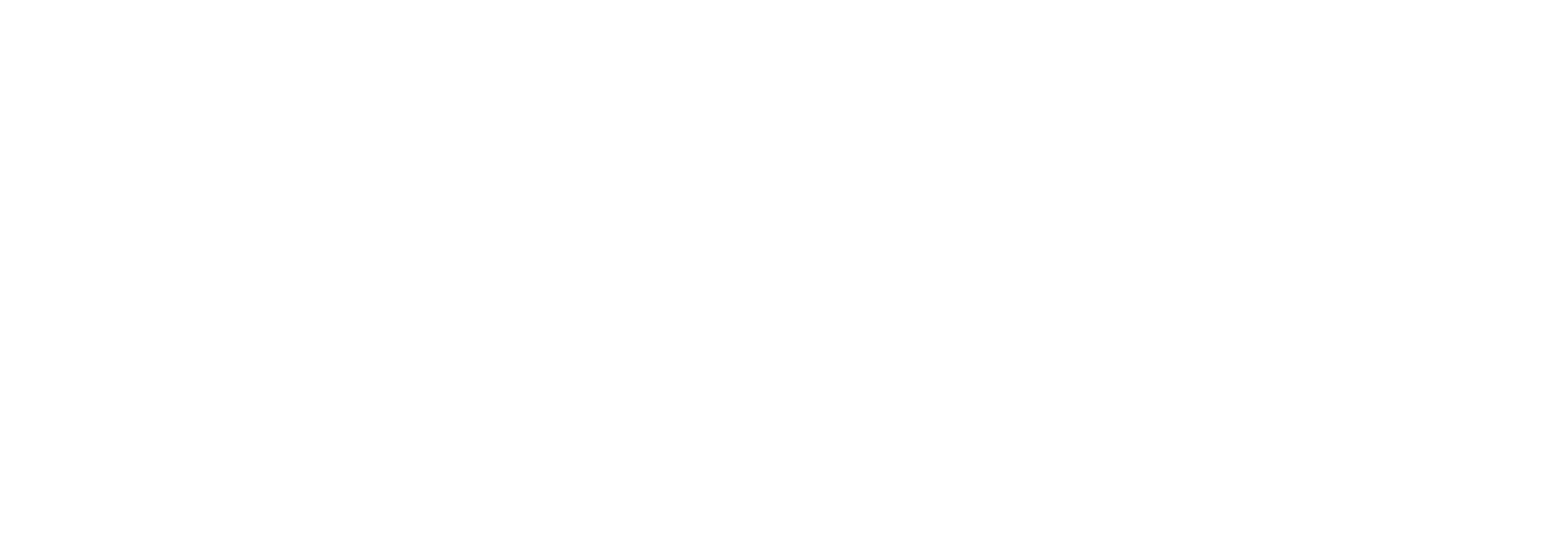 Exclusive Partner