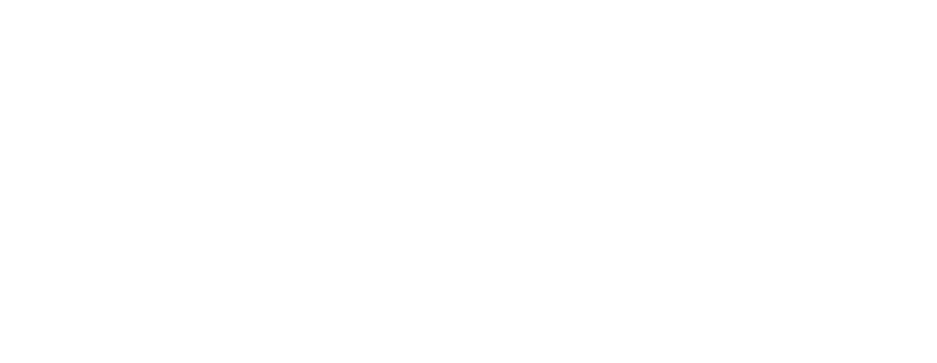 Premier Partner